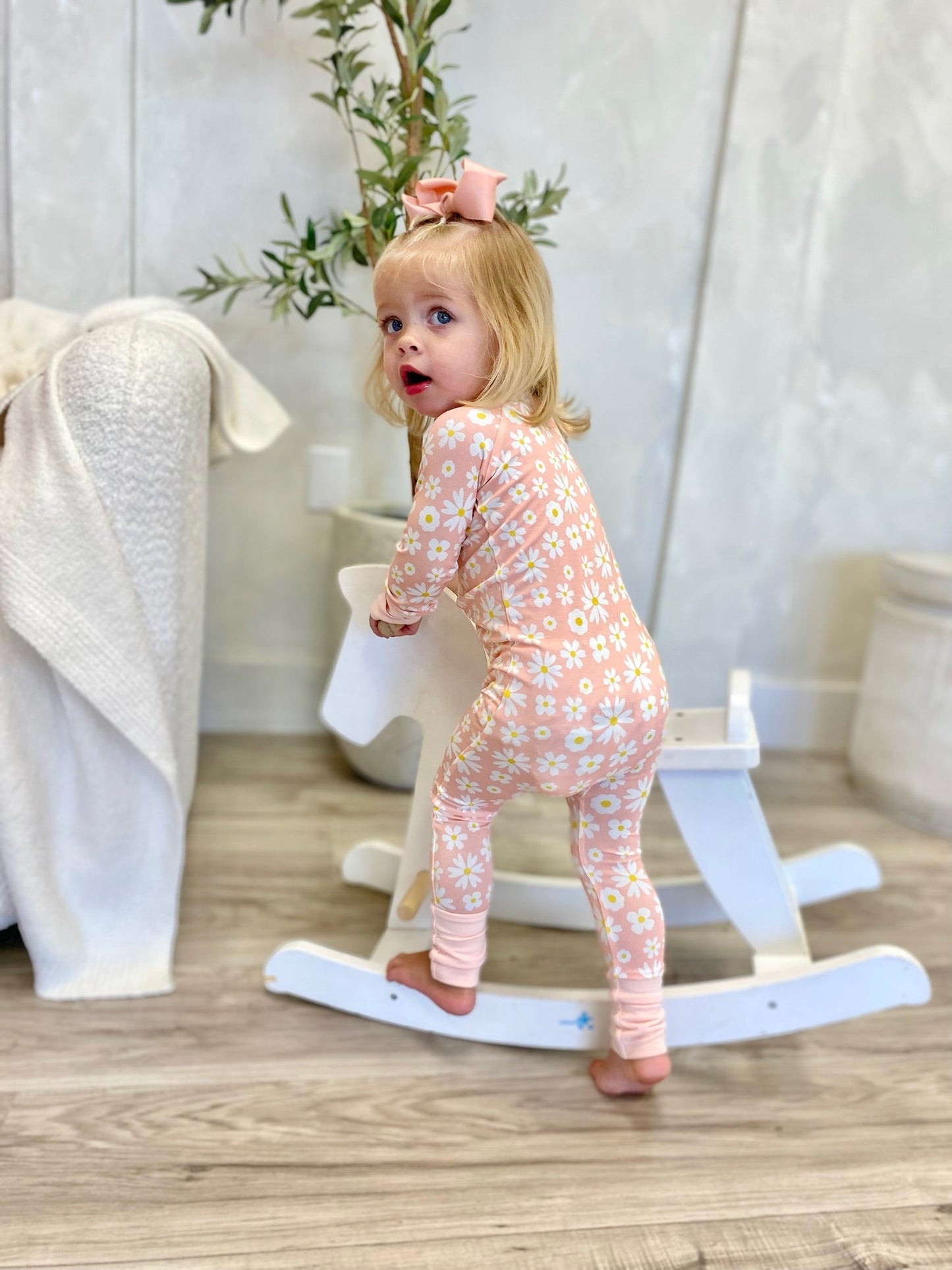 Dreamy Daisy's Zippy